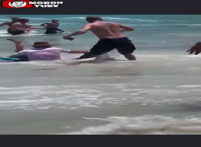 Video :At the beach, a seal attacks swimmers